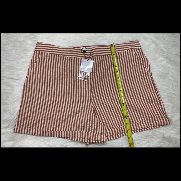 MANGO - Picture 6 of 8